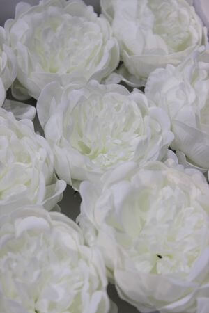 Bílá mýdlová pivoňka 15ks 9cm