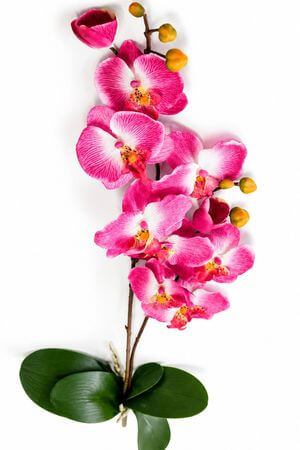Rózsaszín két szárú mű orchidea 67cm