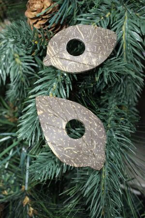 Přírodní dekorace z kokosového ořechu List 10ks