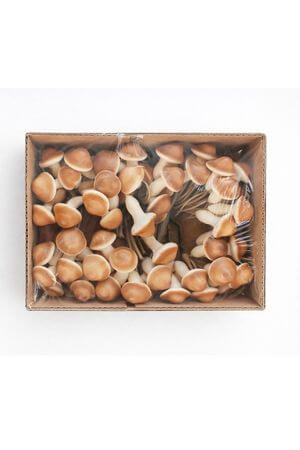 Krémovo hnedé dekoračné hríbiky 48ks 3cm