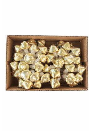 Šampáň dekoračné hríbiky 48ks 3cm