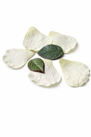 Bledožlté lupene ruže 5ks a 2 zelené listy