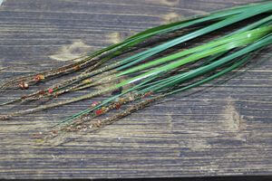 Umělá tráva s oranžovými kuličkami 80cm