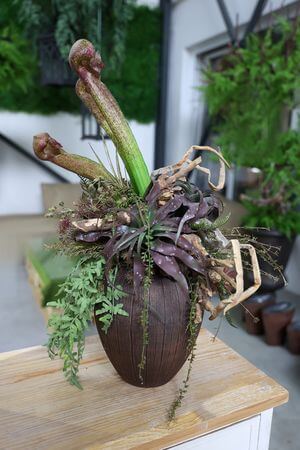 Moderný NATUR aranžmán 70cm