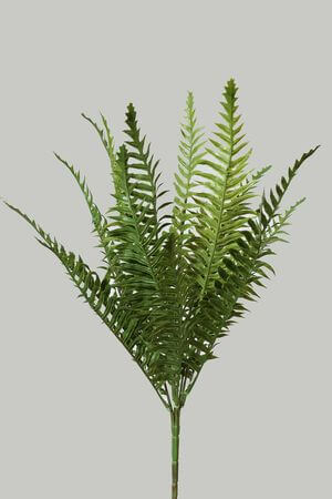 Bledě zelený nephrolepis 48cm