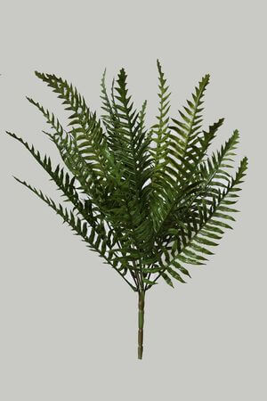 Tmavozelený nephrolepis 48cm