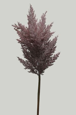 Fialová dekoračná poľná tráva 78cm