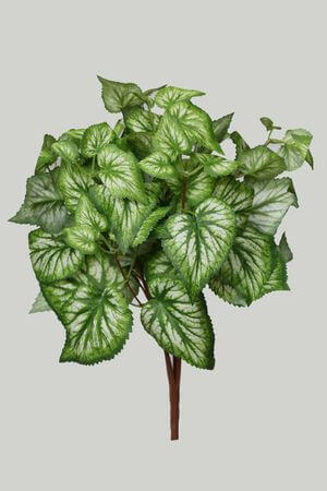 Zeleno biela umelá fitónia 45cm