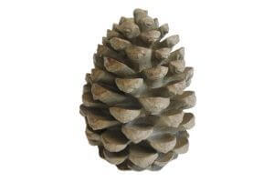 Natúr karácsonyi dekorációk