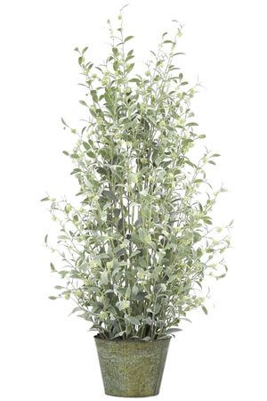 Vysoká dekorační rostlina v květináči 150cm