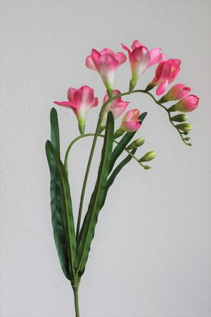 Růžová umělá frézie 57cm