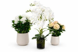 Umělé rostliny v květináči