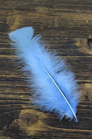 Kék dekor tollak 60db