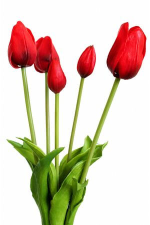Piros mű tulipán csokor 46cm