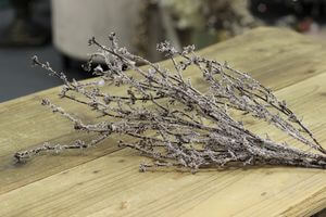 Hnědá zasněžený větev 76cm