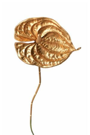 Arany mű anturium, szárral 73cm