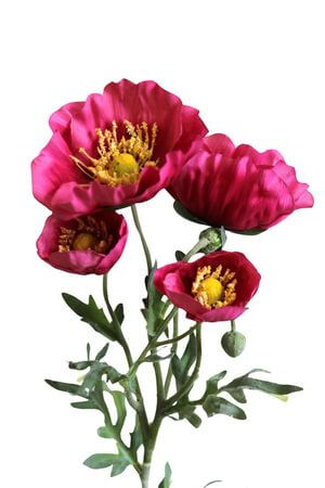 Tmavoružový umelý vlčí mak 61cm