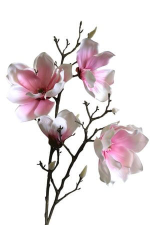 Růžově bílá umělá magnolie 88cm
