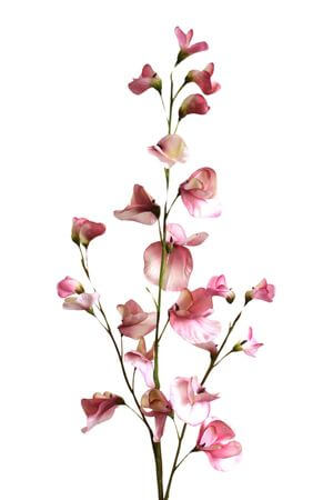 Ružový umelý hrachor 70cm