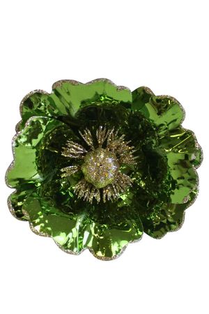 Zelená leská magnólia na štipci 14cm