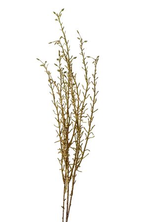 Arany csillogó ág 100cm