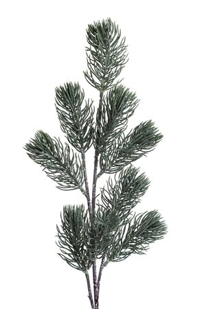 Zöld havas tűlevelű ág 70cm