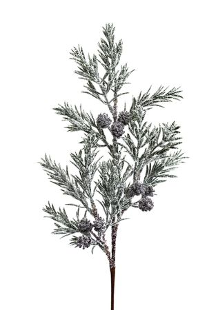 Zöld havas ág tobozokkal 62cm