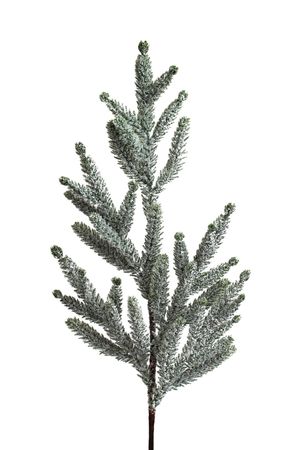 Zöld havas lucfenyő ág 67cm