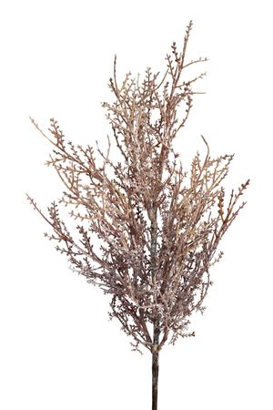 Barna havas ág 75cm