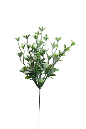 Havas mű gyógynövények 30cm