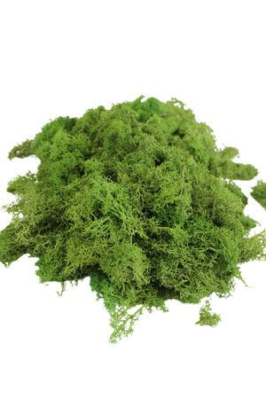 Zöld stabilizált izlandi moha 500g