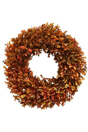 Stabilizált narancssárga puszpáng koszorú 50cm