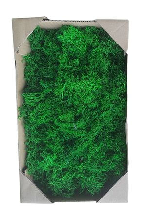 Tmavozelený preparovaný mach islandský 500g