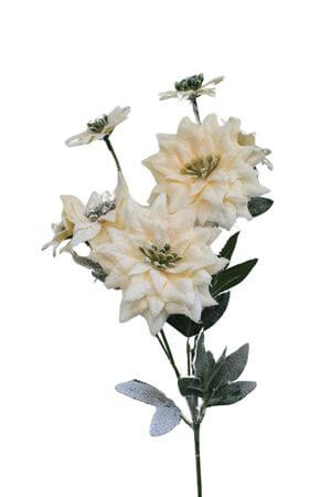 Havas krém színű mikulásvirág száron 70cm