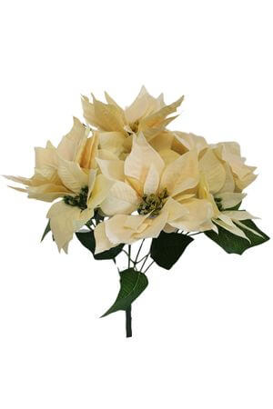 Krém csokor karácsonyi mikulásvirág 30 cm








