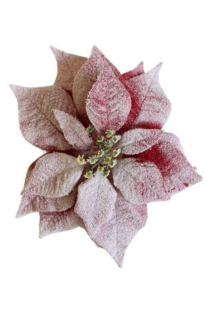 Havas piros mikulásvirág csipesszel 22 cm