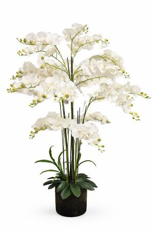 Fehér mű orchidea virágcserépben Real touch 150cm