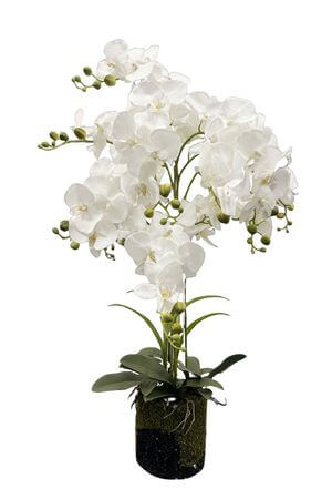 Fehér mű orchidea virágcserépben Real touch 90cm