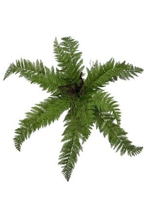 Bledozelená umelá papraď 59cm