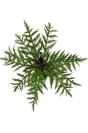 Zelená papraď umelá 54cm