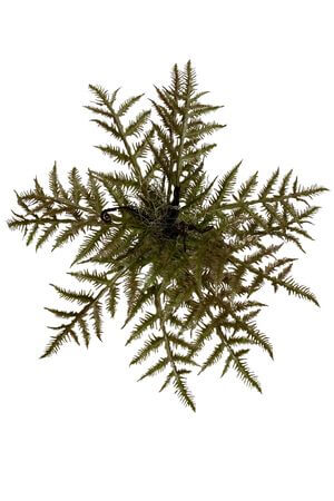 Hnedá papraď umelá 54cm