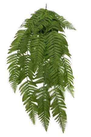 Bledozelená visiaca papraď 118cm