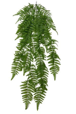 Zelená visiaca papraď 120cm