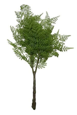 Bledozelená umelá papraď 62cm