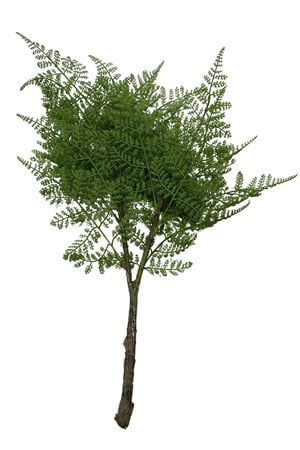 Zelená umelá papraď 62cm