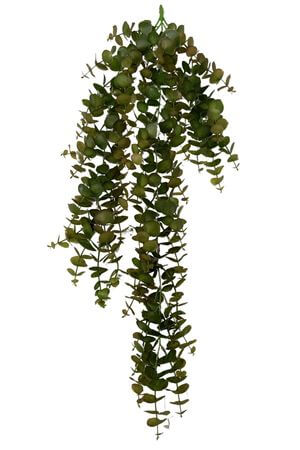 Hnědozelený visící eukalyptus 81cm