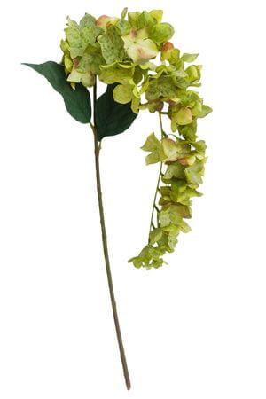 Zelená hortenzia previstnutá 89cm