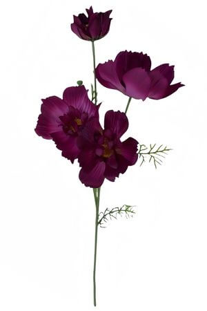 Bordový umelý cosmos 80cm