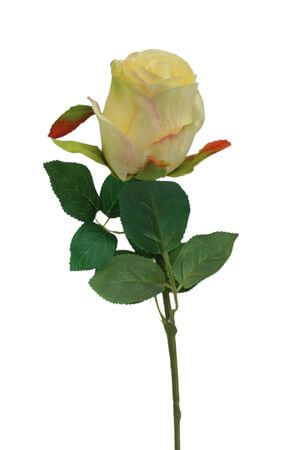 Krémová umelá ruža 50cm