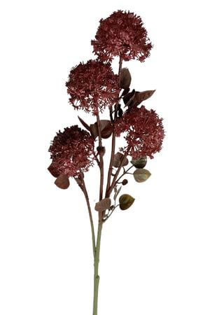 Bordový poľný kvet 74cm